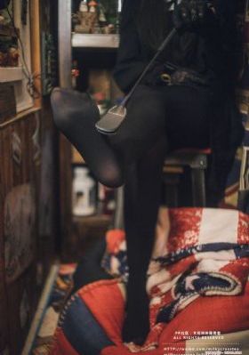 间谍过家家第三季免费观看
